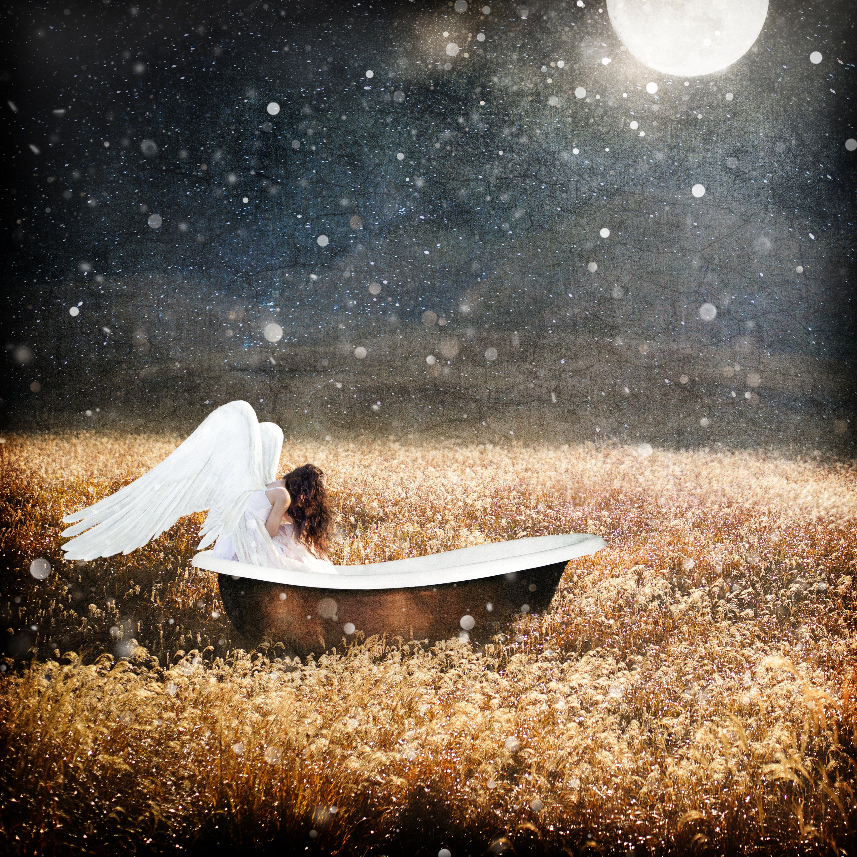 A Safe Place- Art Print, Canvas, Wall Art