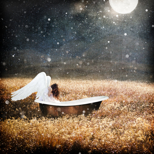 A Safe Place- Art Print, Canvas, Wall Art