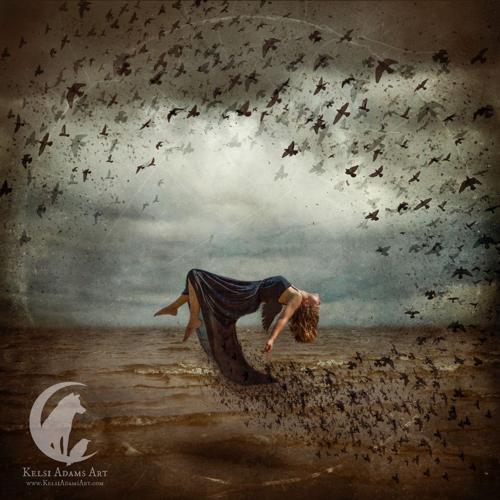 Borrowed Wings- Art Print, Canvas, Wall Art