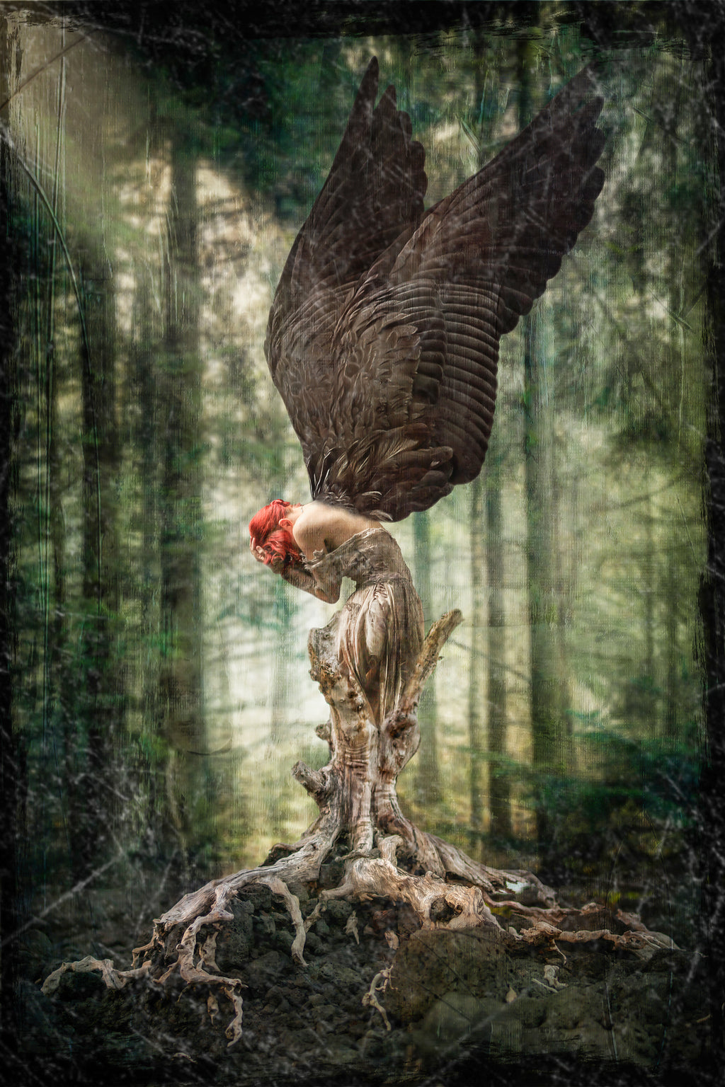 Your Hearts a Bird- fine art print, Giclee canvas, wall art